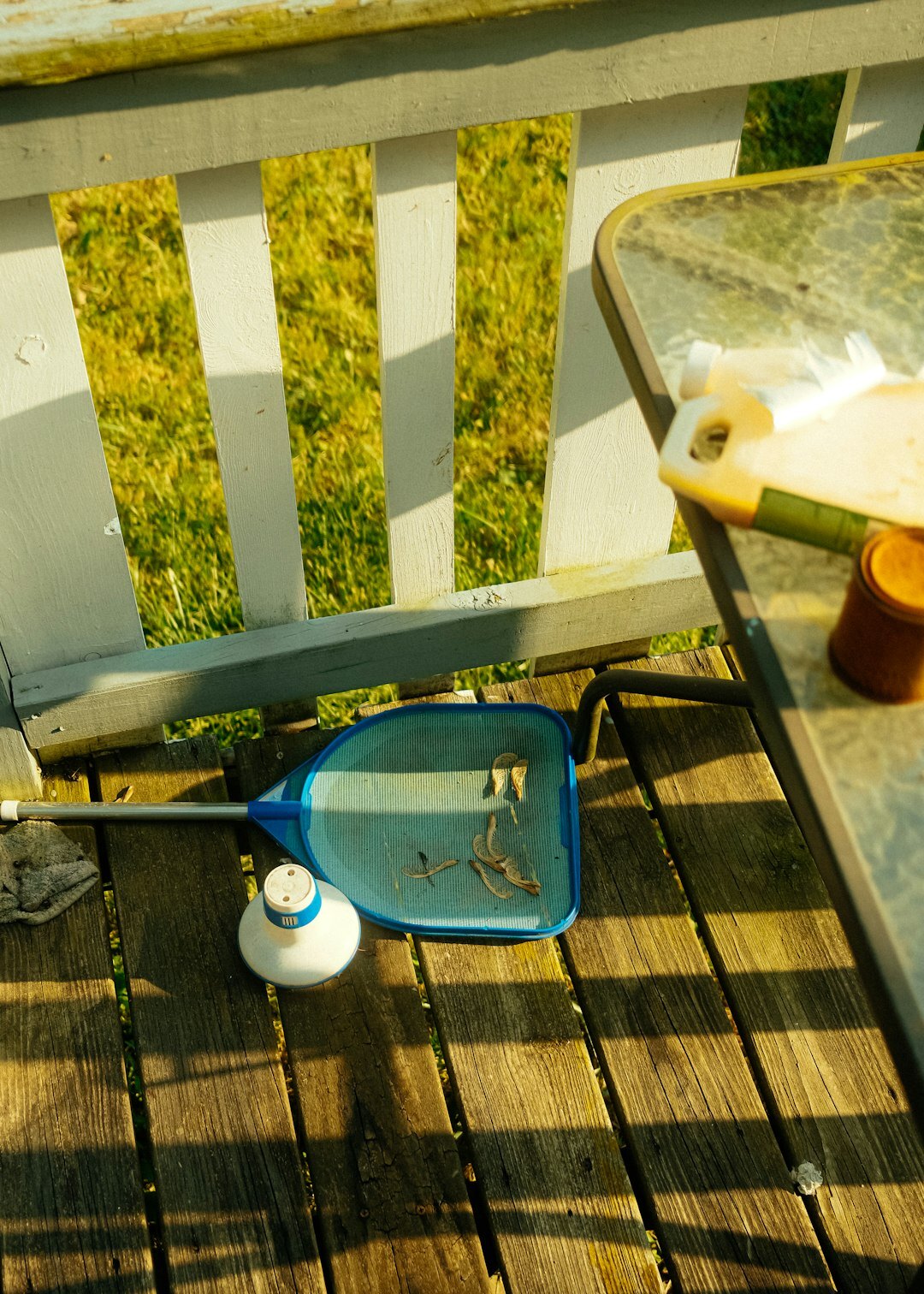 Flat lay of gardening tools including trowel, gloves and pruning shears on wooden table
