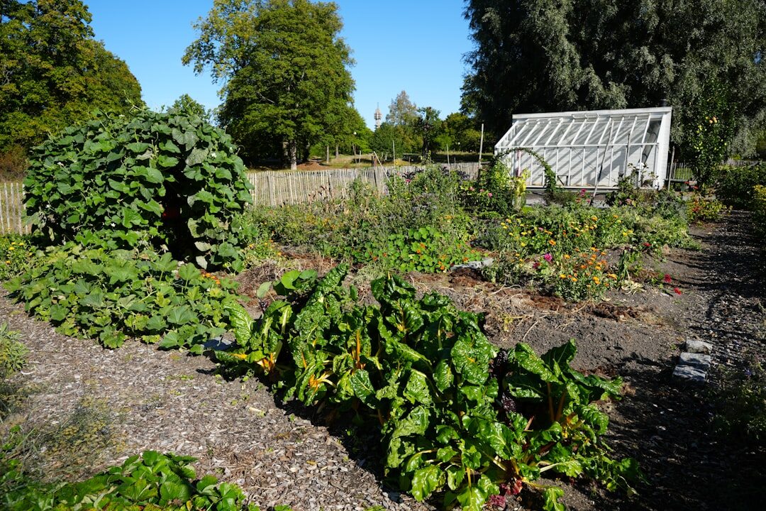 lush vegetable garden overview