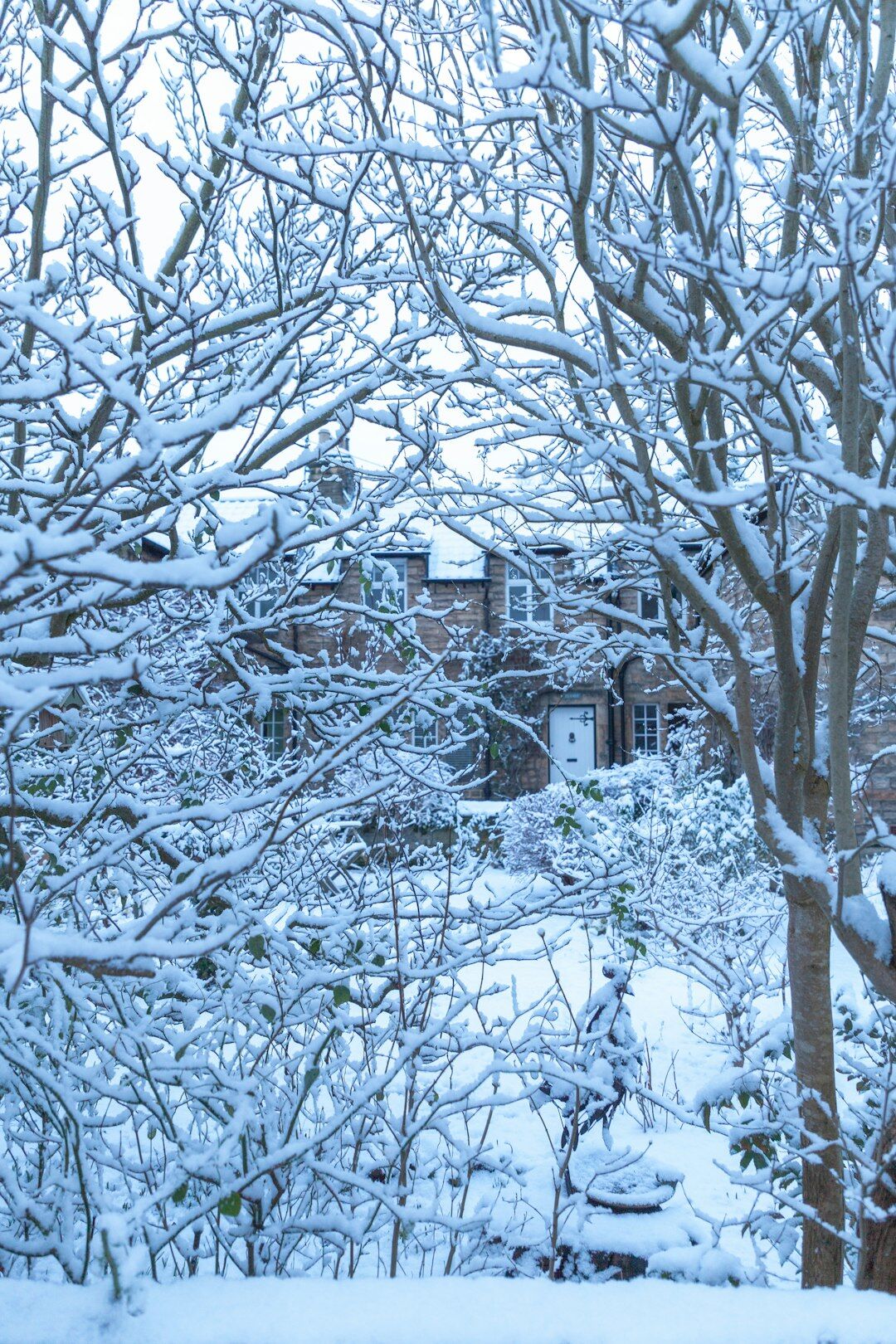 Snow covered vegetable garden and countryside cottage in winter