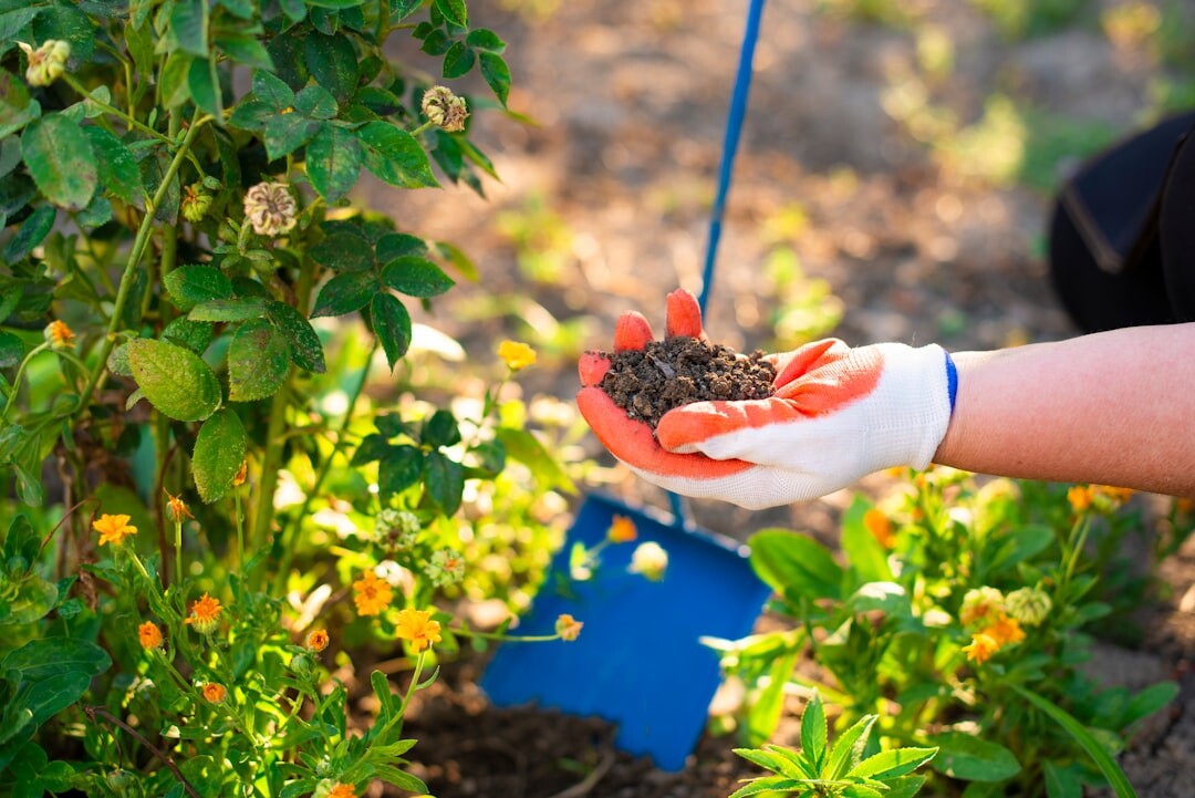 garden soil preparation