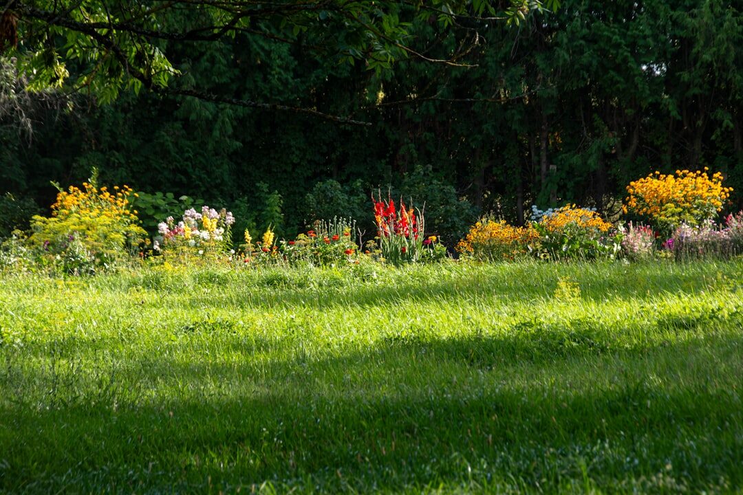 beautiful blooming garden