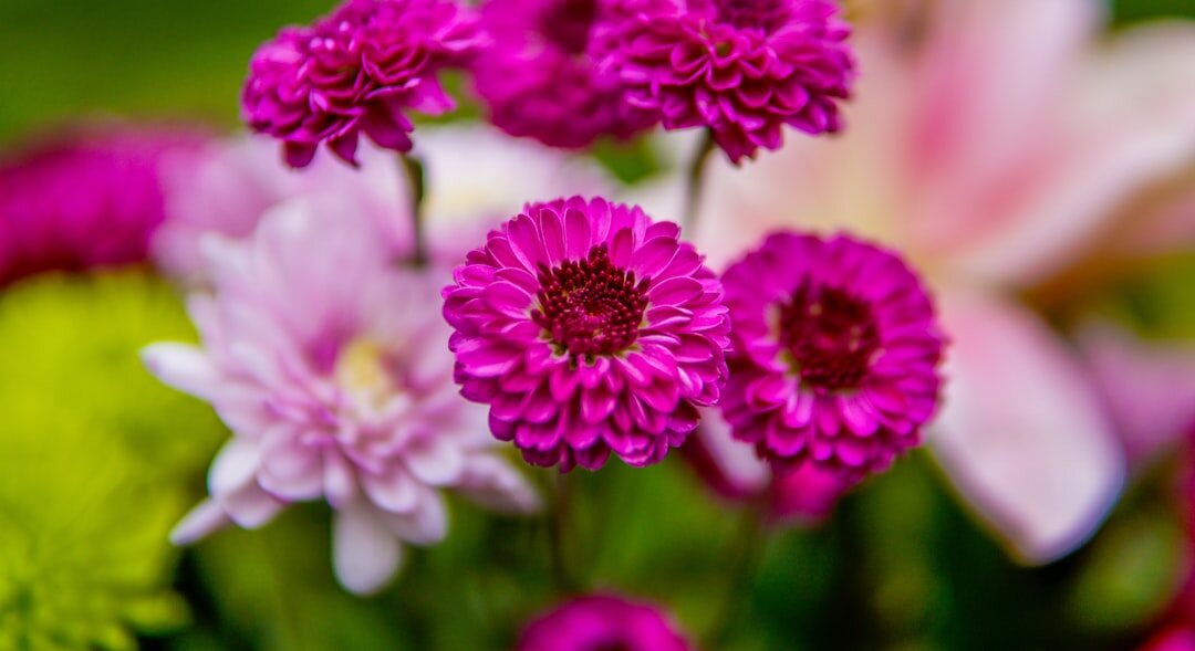 vibrant spring flower arrangement