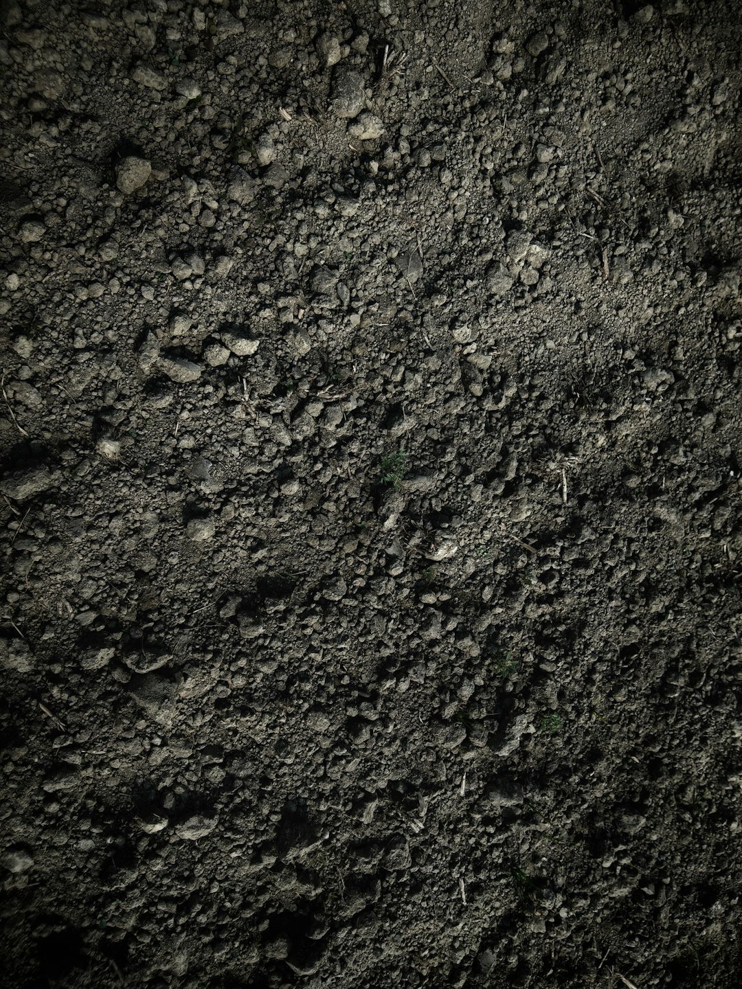 garden soil preparation