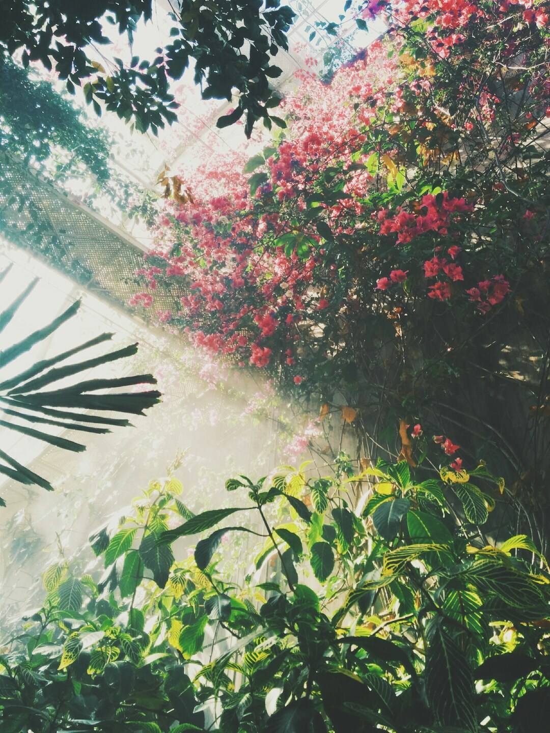 lush green garden with flowers