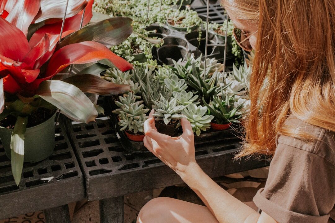 checking plants for pests