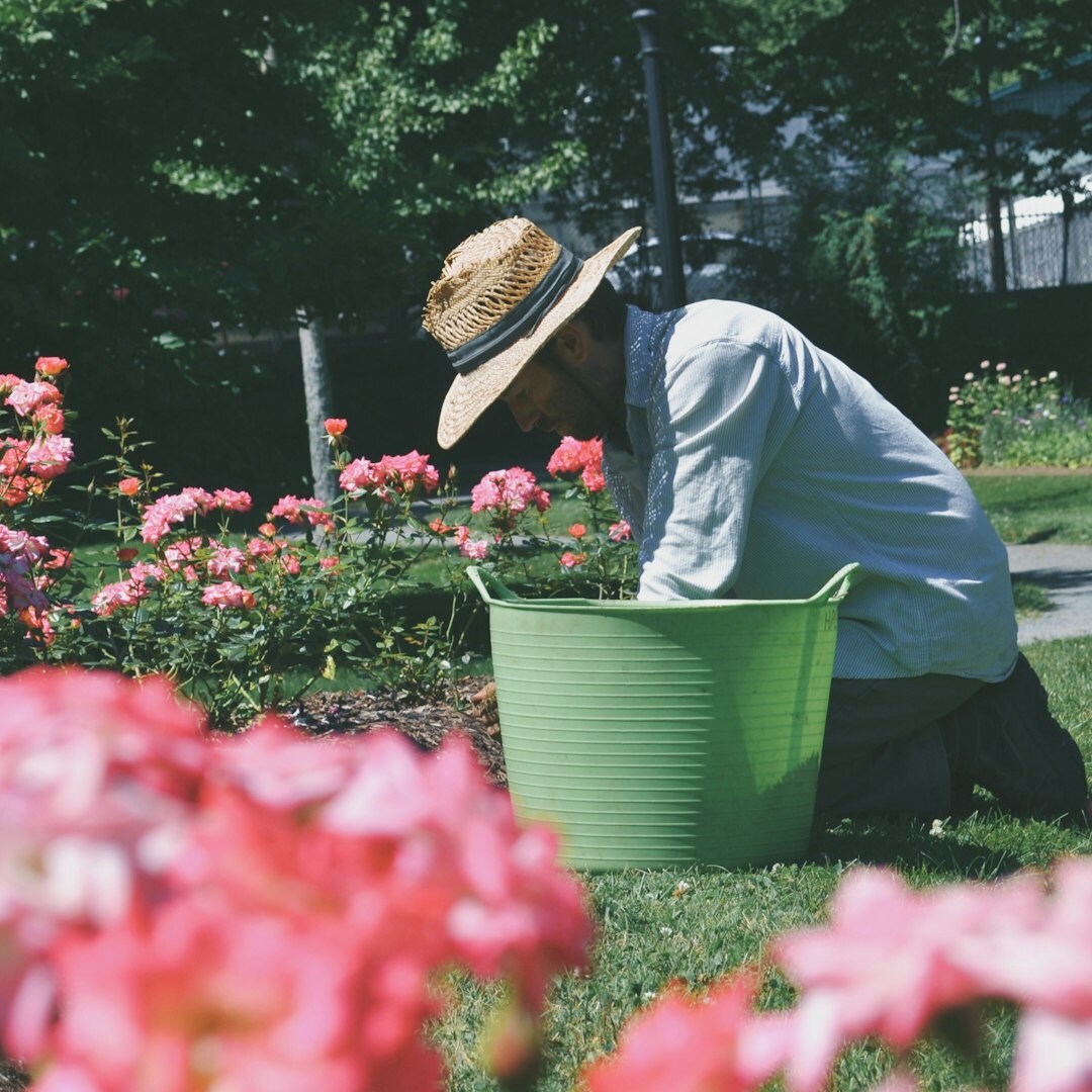 woman planting flowers in garden